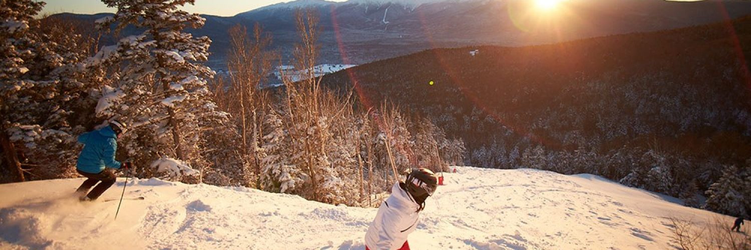 BW Alpine 1000x3851