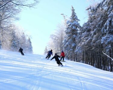 Skiers-4-Ticket-Sales