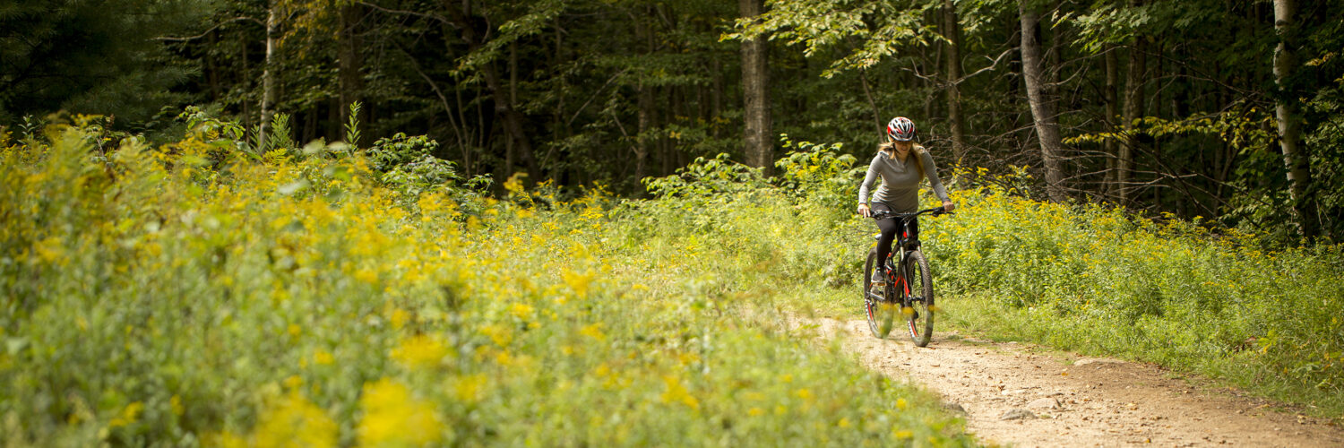 Bikeclearing web copy