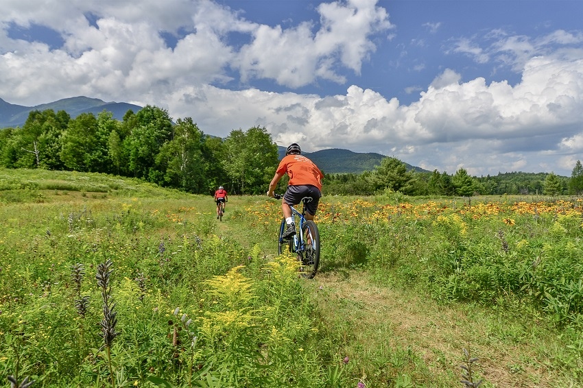 Mt bike wildflowers Great Glen Trails