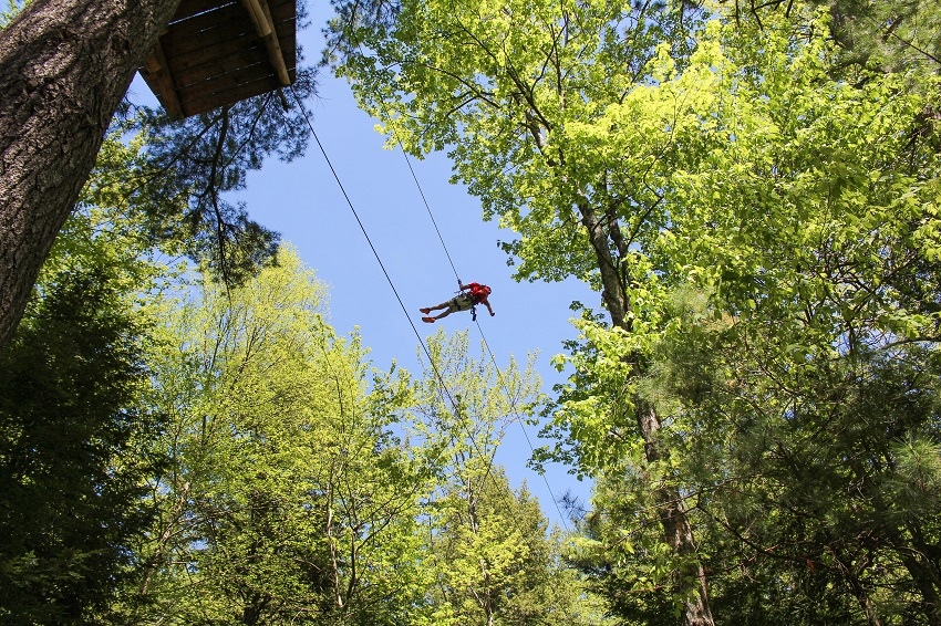 Canopy zipline