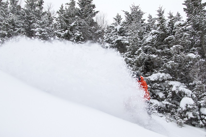 Loon powder shot