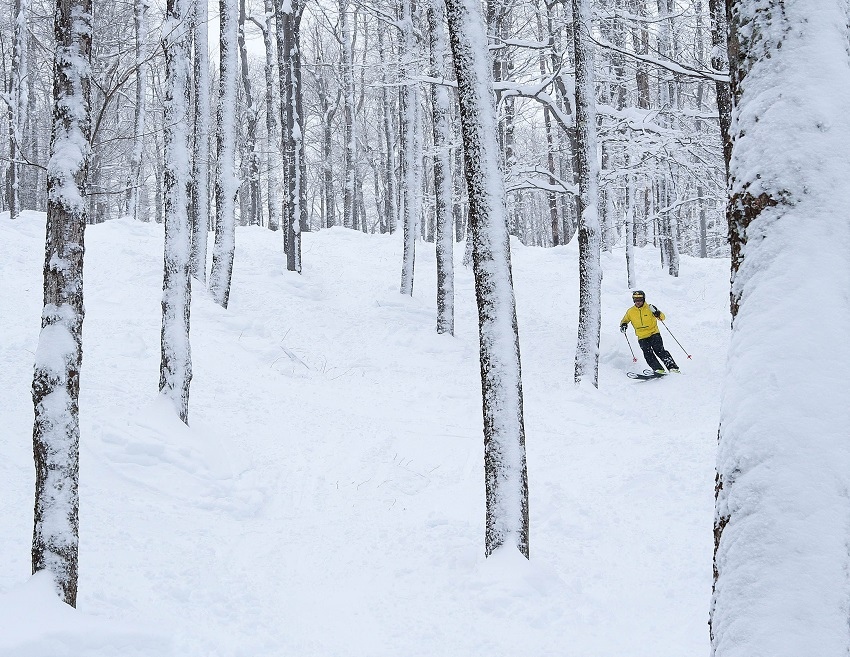 Mount Sunapee Glade skier yellow jacket