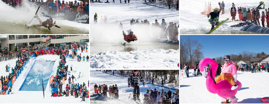 Pond Skim collage