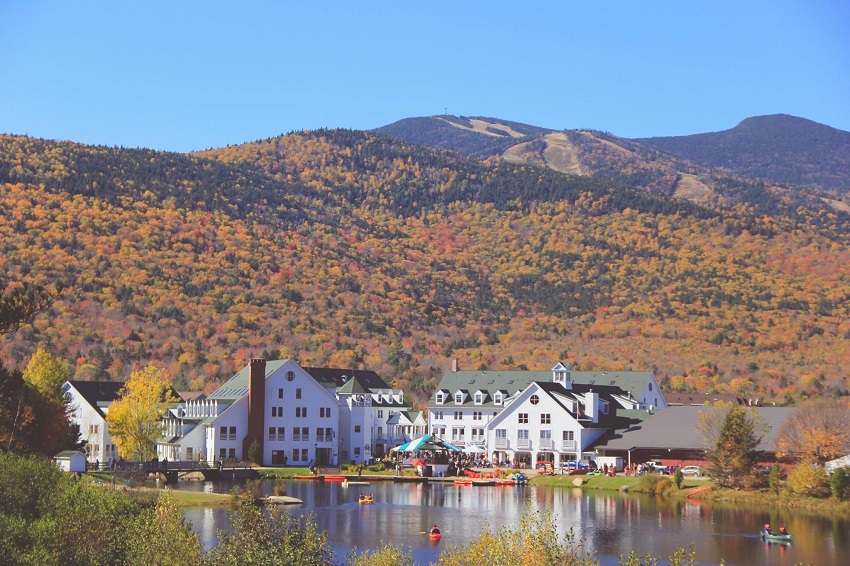 Waterville foliage