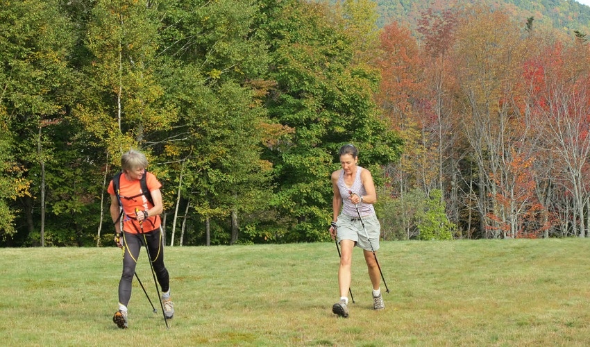 Nordic walking with poles