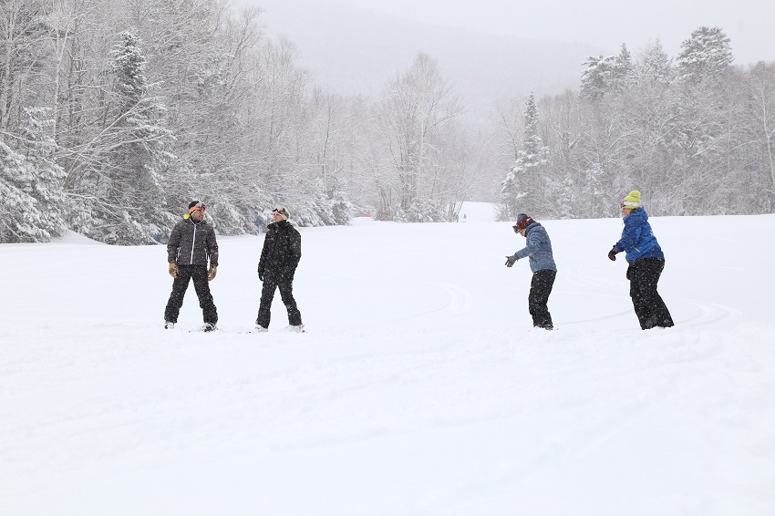 Four skiers in the snow