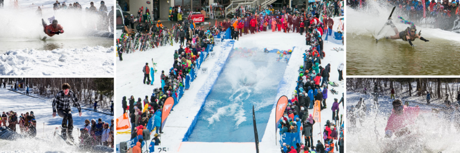 Pond Skim Collage