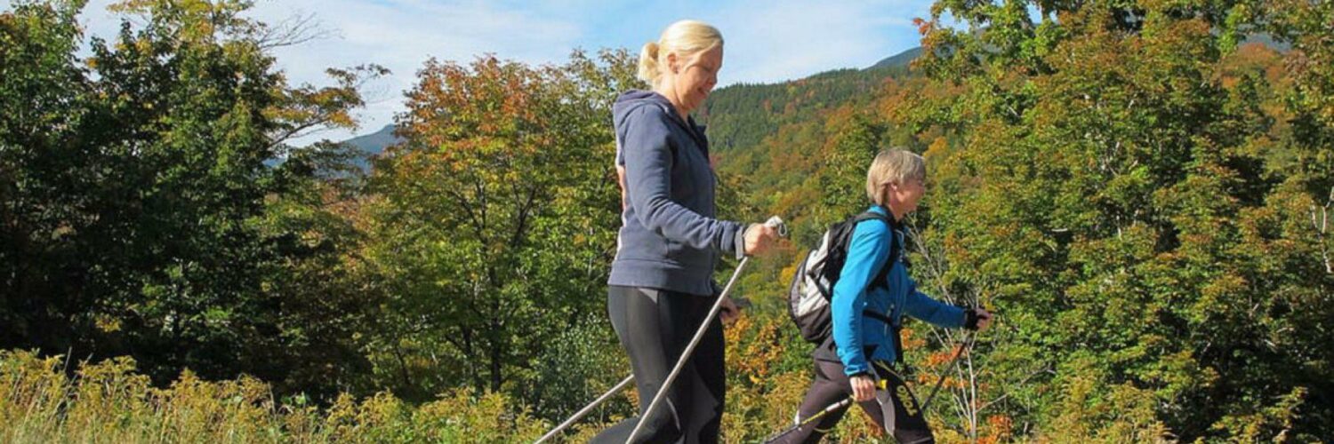 Women cross training for nordic skiing