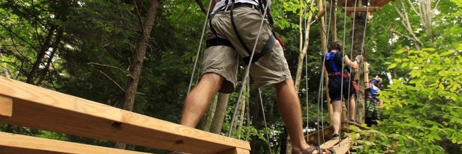 canopy bridge