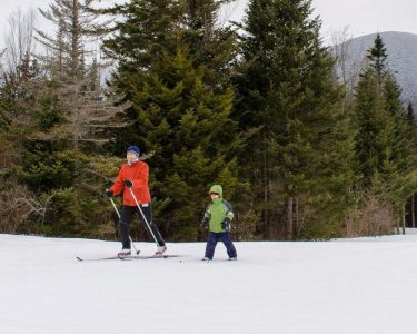 Cross country skiing adult in red jacket and child in green jacket