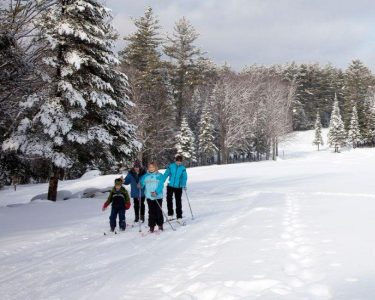 Family Cross Country Skiing