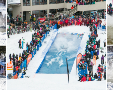 Pond Skim Collage