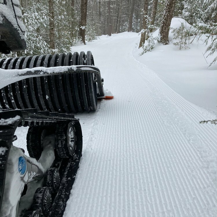 Nordic Skier Wolfeboro