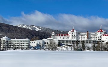 Blue Bird Winter R Ter SQ2