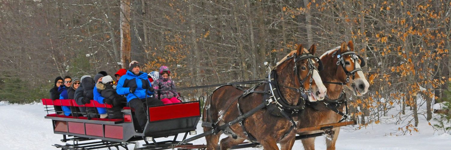 Purity Spring Resort Sleigh Ride2 12 30 16