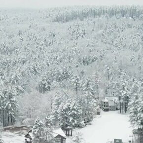 Our version of a winter wonderland ❄️⛷️