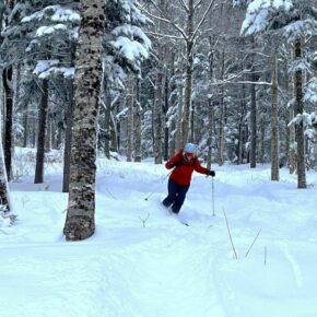 It's time to Ski New Hampshire where you'll find snow-covered trails, breathtaking views, lessons for all levels, plus the perfect après. Visit the newsletter link in bio to learn what's happening in NH! #skinewhampshire
