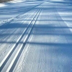 Some very sliceable corduroy to start the week. 🙌
.
.
#gunstockxc #classictrack #corduroy #crosscountryskiing #gunstockmtn #lakesregionnh #skinh #xcskiing