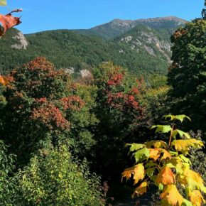 Fall colors are just starting to emerge in Franconia Notch State Park. We expect the color to start to really pop over the next couple of weeks. Make sure we are a stop on your foliage tour! 
#franconianotch 
#nhstateparks 
#cannonmountain 
#flumegorge 
#visitnh 
#fallfoliage
