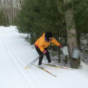 It's early yet for maple syrup, but it's perfect timing to get out and go cross country skiing or for a snow shoe. Learn more from Roger Lohr.  www.skinh.com/blog/cross-country-skiing-in-new-hampshire #SkiNH
