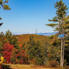 Foliage season is on the horizon! 

Make the Gunstock Campground your home base for a classic New England foliage weekend! We've got some of the best colors around. 

Book ahead at gunstock.com/camping

#gunstockmtn #camping #fallcamping #foliage #fall