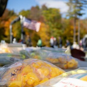 Bring your friends and family to @mountsunapee to drop ducks from the Sunapee Express chairlift onto targets at the 7th Annual Duck Drop on October 8th! Proceeds help support the Boys and Girls Club of Central New Hampshire. Check out our events page for more information. #SkiNH #mountsunapee