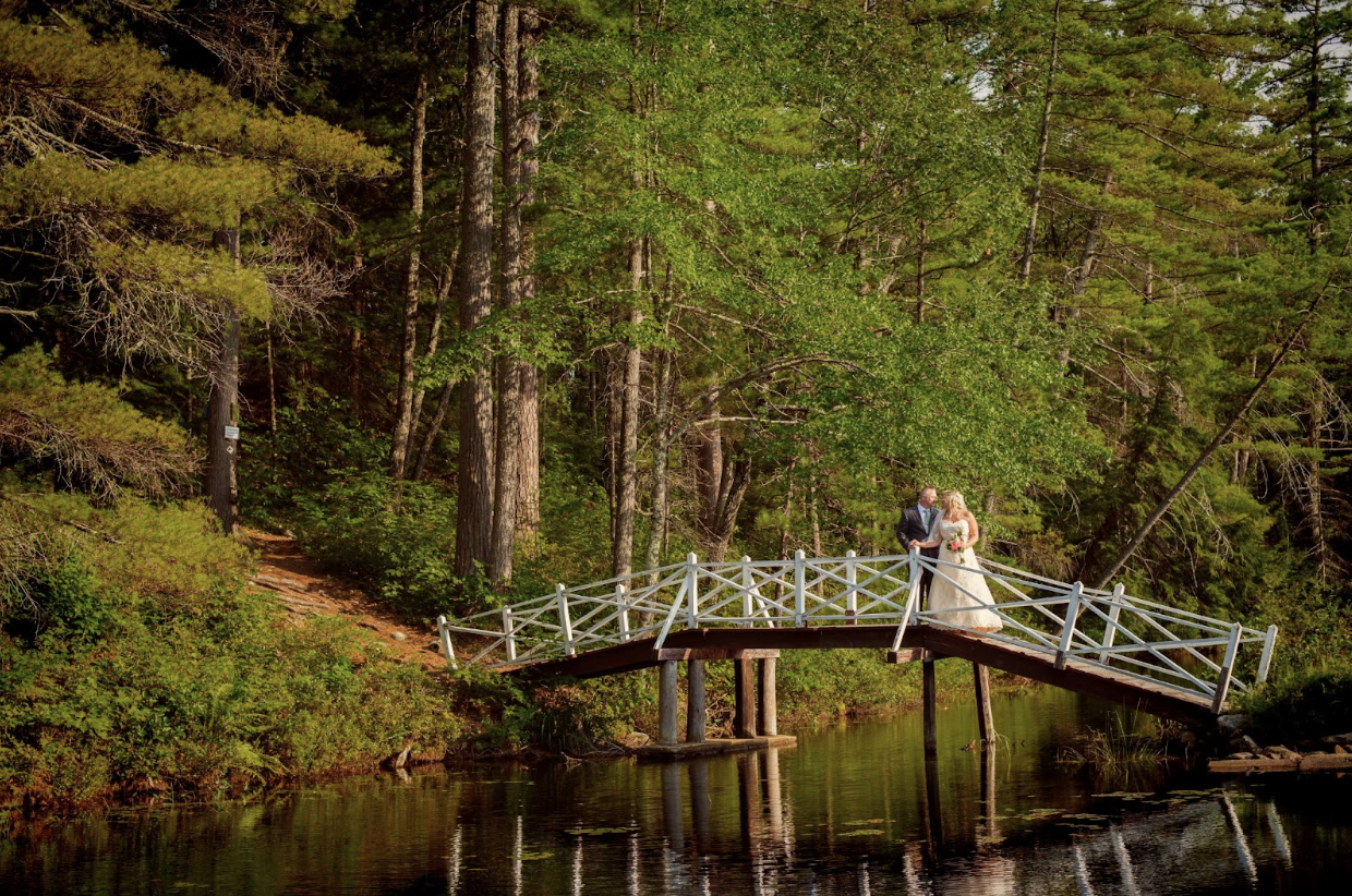 King Pine/Purity Spring