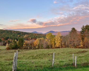 Innstead Fall Deal