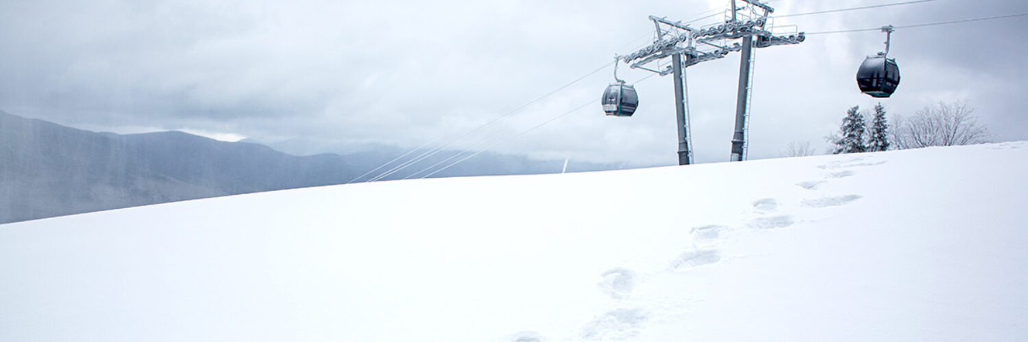 20221128 header gondola