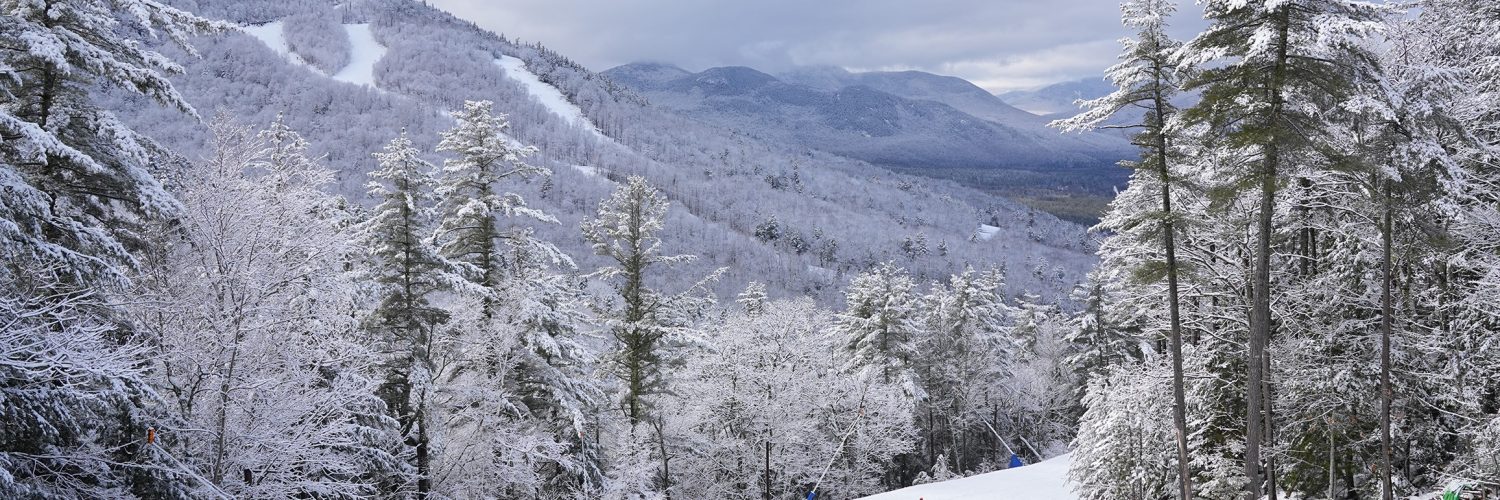 20230117 AT Molla 001 1