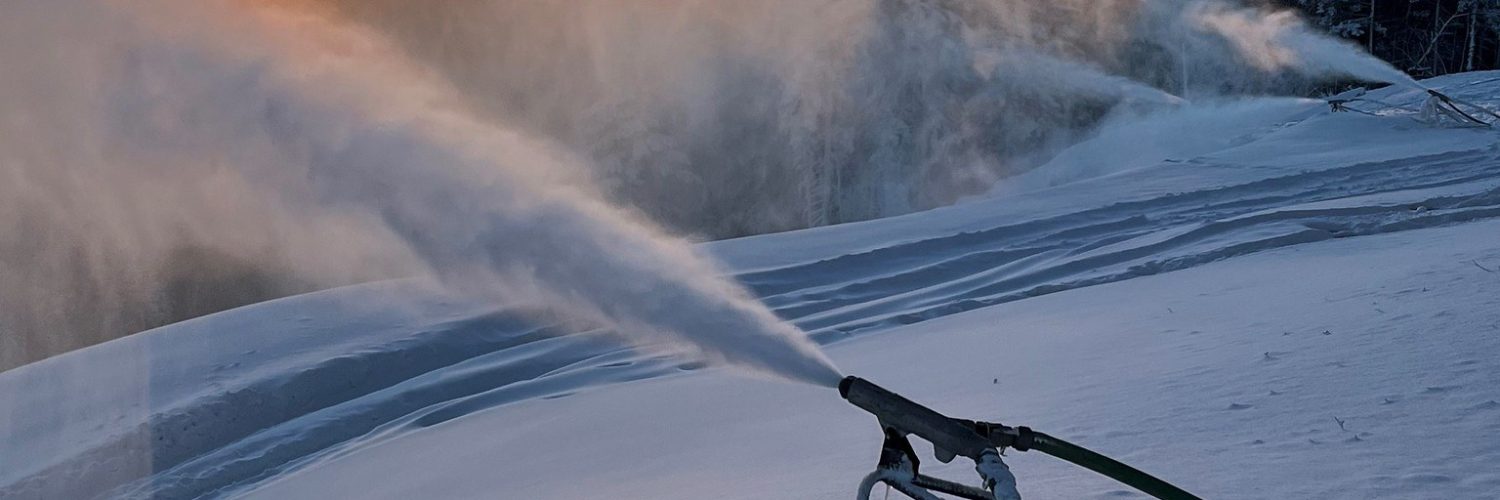 54100242845 a7c8bf57e9 k