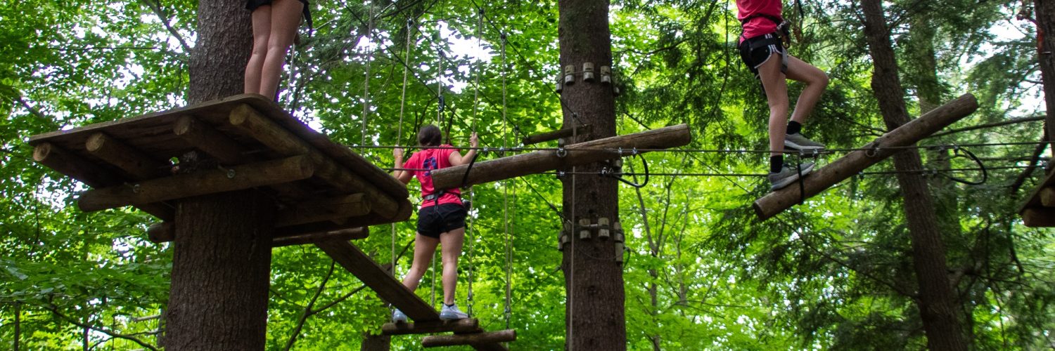 In the Trees at Gunstock