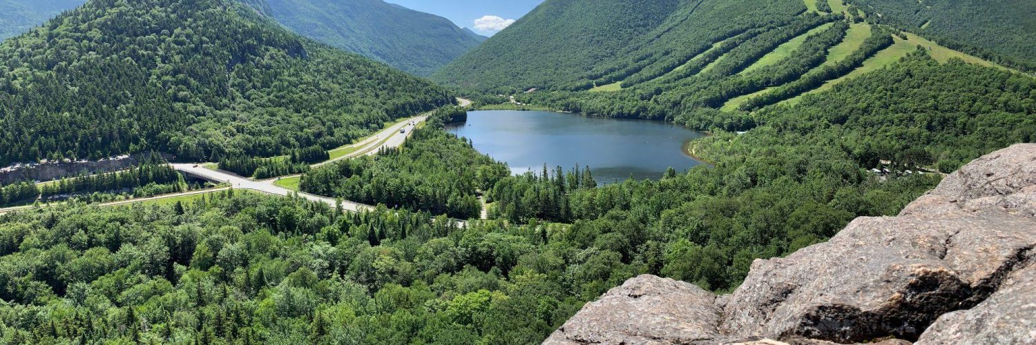 Photo Jul 02 2024 10 50 49 AM