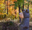 Attitash Mountain Resort fall