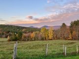 Innstead fall