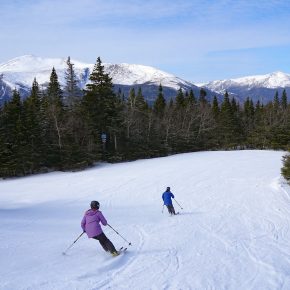 Skiers enjoying fresh powder at Wildcat Mountain