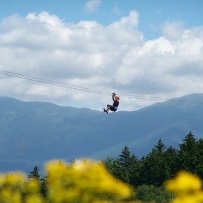 Bretton Woods Canopy Tour